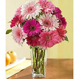 arreglo de gerberas entregas en monterrey hoy mismo