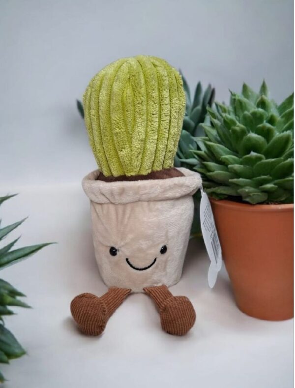 Mini Cactus15cm