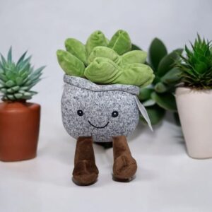 Suculenta De Peluche 25cm