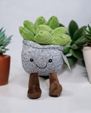 Suculenta De Peluche 25cm