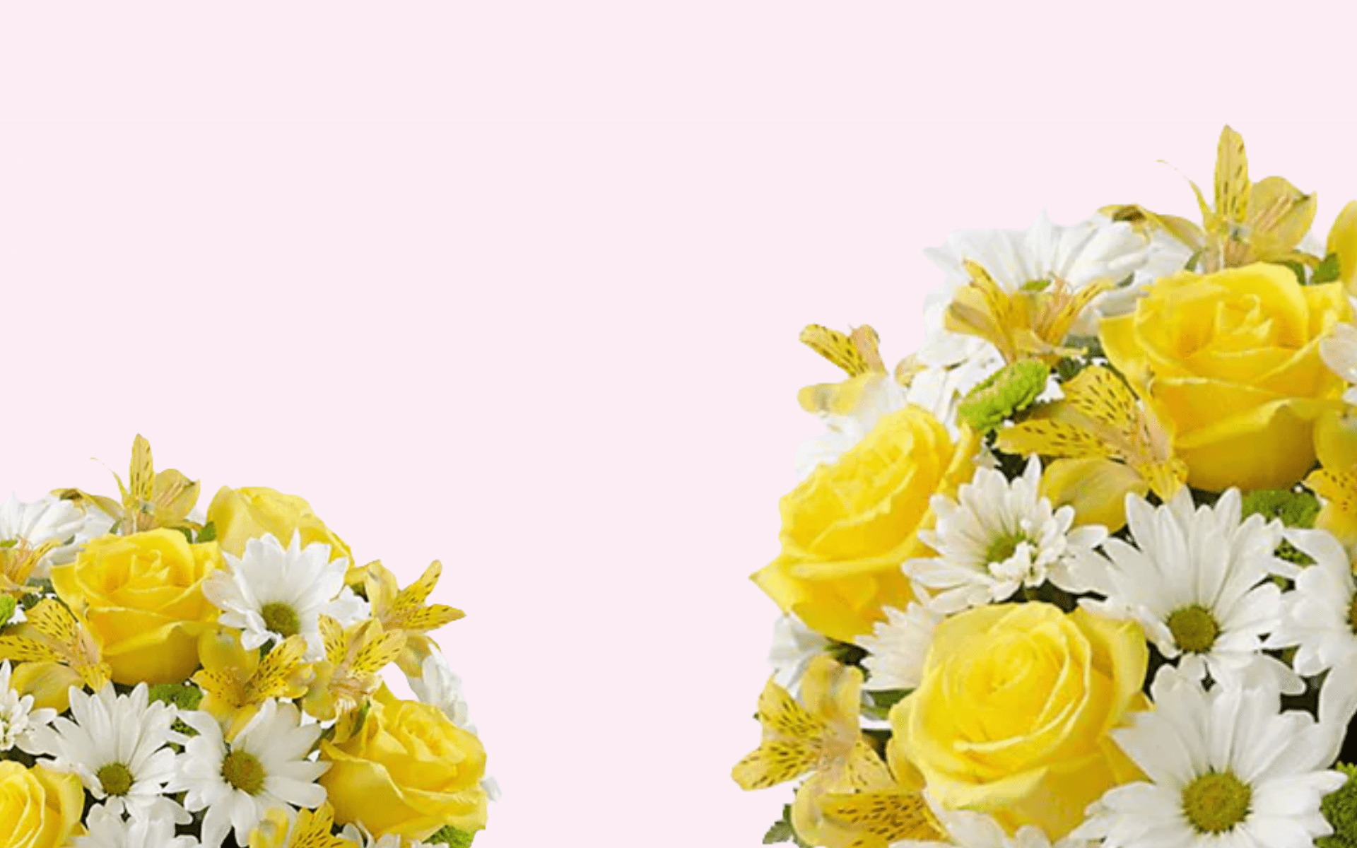 flores amarillas entrega hoy mismo